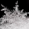 Snow Der zweite